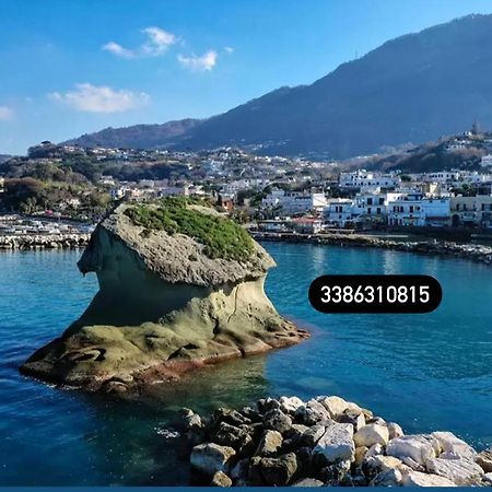 Zaras 11 Apartment Lacco Ameno  Luaran gambar