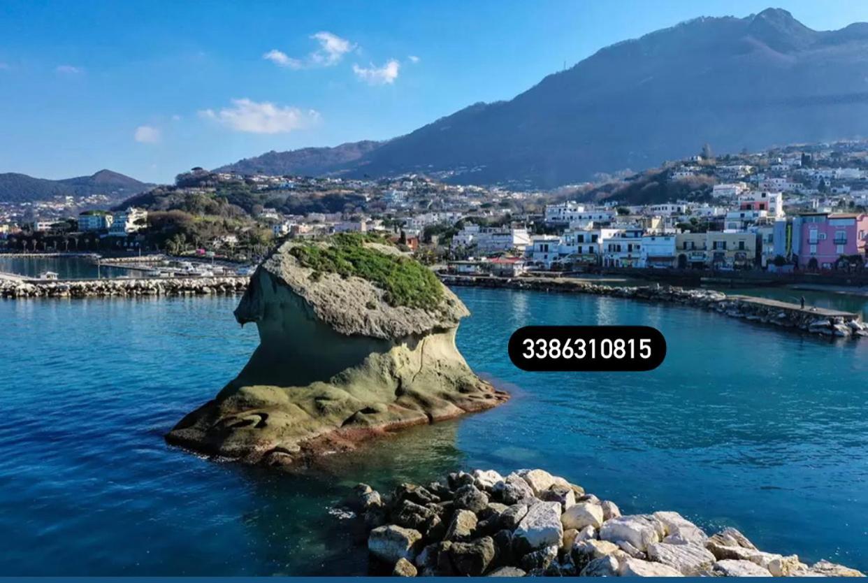 Zaras 11 Apartment Lacco Ameno  Luaran gambar